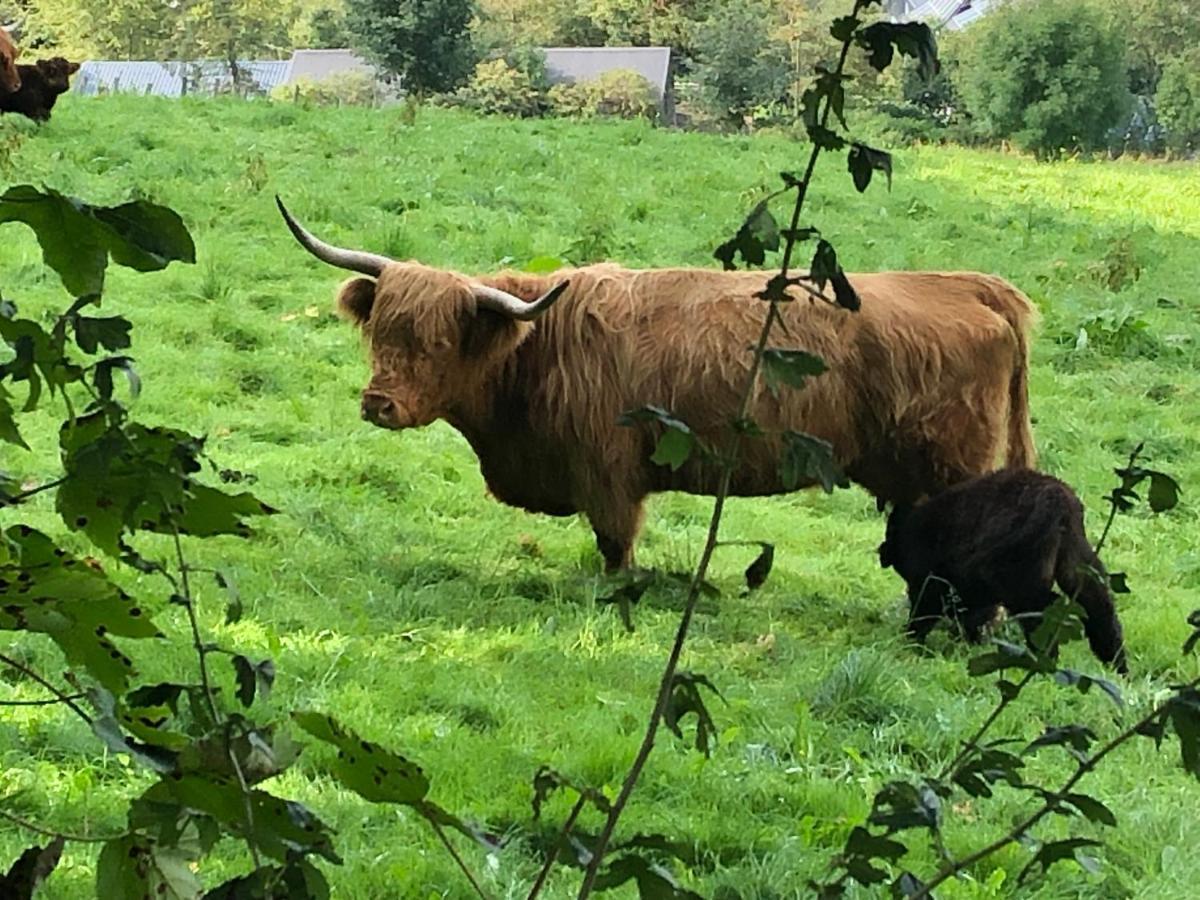 Schoene Aussicht Sauerland By Koelbel Familienurlaub Mit Hund 슈말렌부르크 외부 사진
